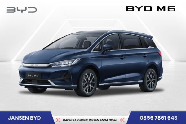 BYD M6